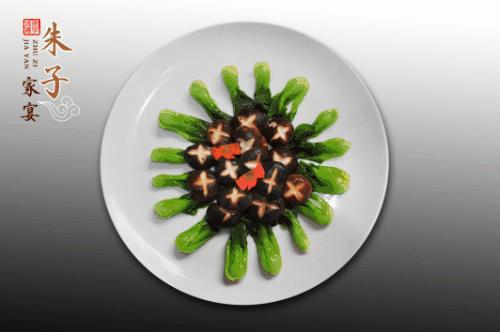 福建有约,福建与世界有约视频