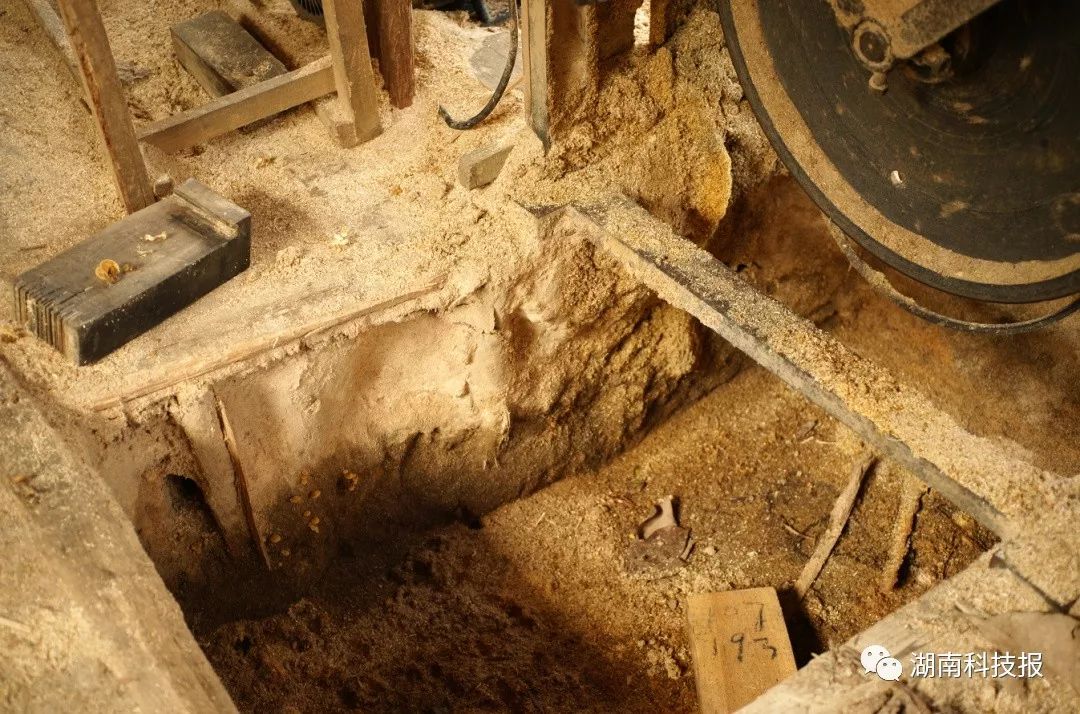 误食毒蘑菇的症状,误食毒蘑菇临床表现