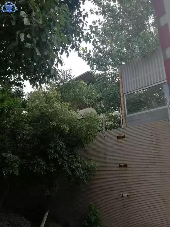 涉案周燕芬照片,新城原老总猥亵女童获刑