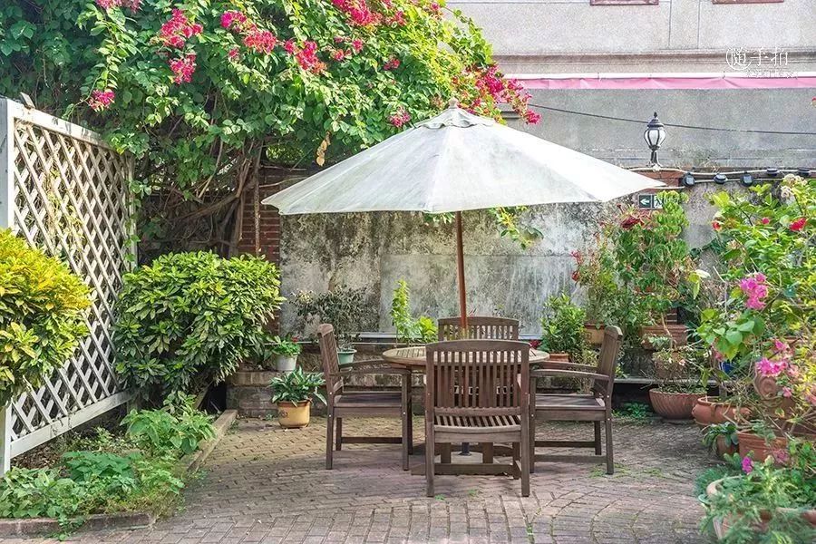 鼓浪屿最值得吃的美食,鼓浪屿最好吃的美食最新