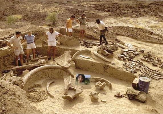 您为什么非得在车底：阿杜的亚文化再研究