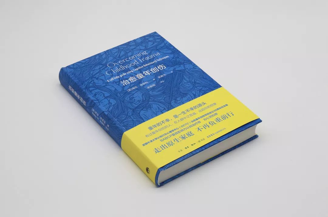 新书推荐丨《治愈童年创伤》