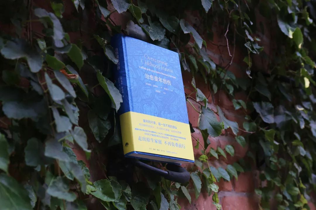 新书推荐丨《治愈童年创伤》