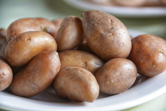 鑵惧啿鐑捣鏅尯鍏崄宀佸厤绁ㄥ悧,浜戝崡鑵惧啿鐑捣鍏洯鏅浠嬬粛