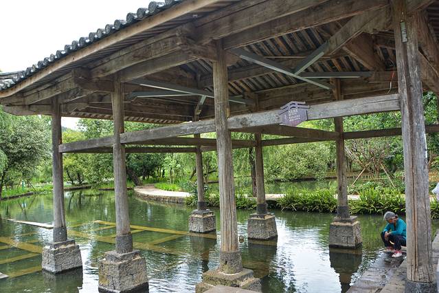 鑵惧啿鐑捣鏅尯鍏崄宀佸厤绁ㄥ悧,浜戝崡鑵惧啿鐑捣鍏洯鏅浠嬬粛