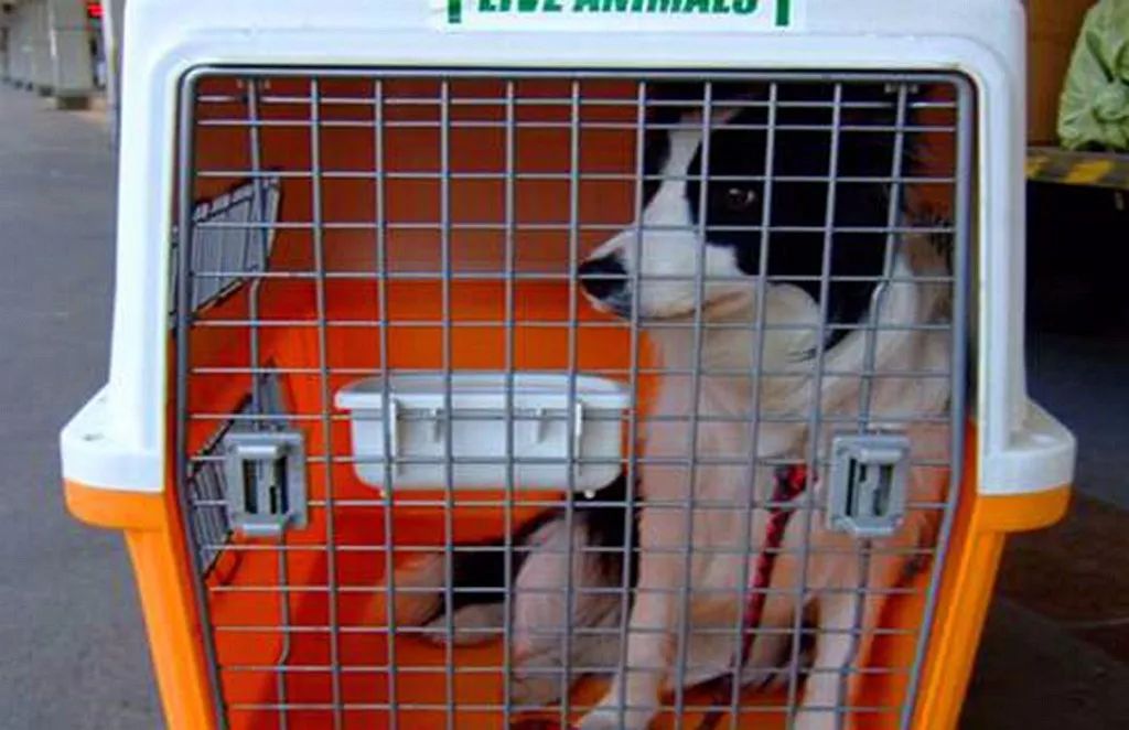 可以体验买买买的游戏,疯狂买买买的游戏