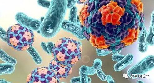 吹生日蛋糕蜡烛把假牙吹出来了,吹生日蛋糕蜡烛