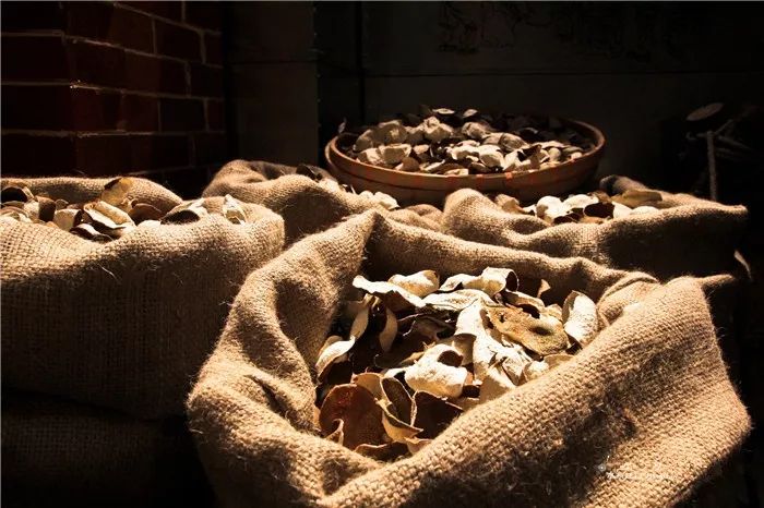 虫蛀的陈皮还能吃吗,陈皮虫蛀了怎么办