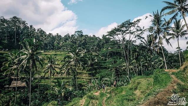 南纬八度.又见BALI