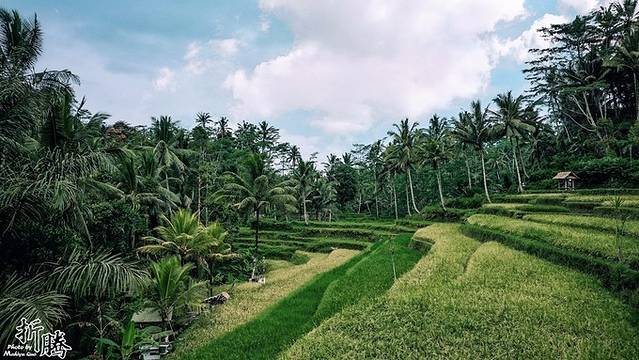 南纬八度.又见BALI