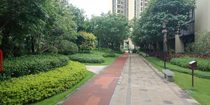 骚男和新对象是怎么认识的,骚男新的恋情