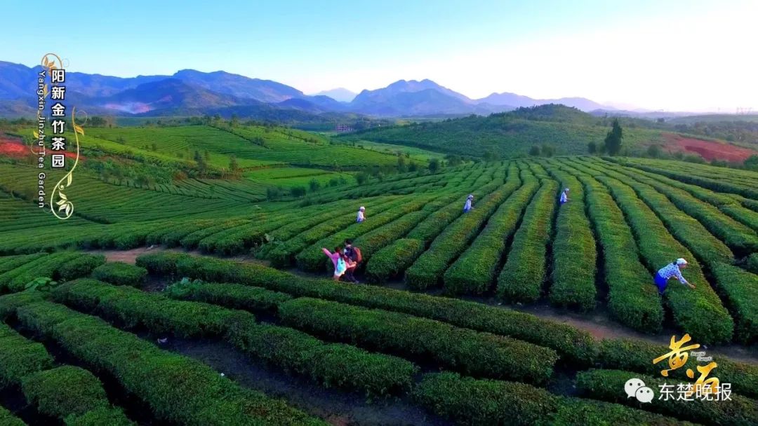 什么是黄石火山,什么是黄石车牌