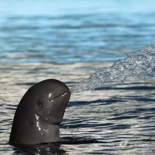 缅甸一日游经典攻略,缅甸旅游3-4天攻略最佳线路