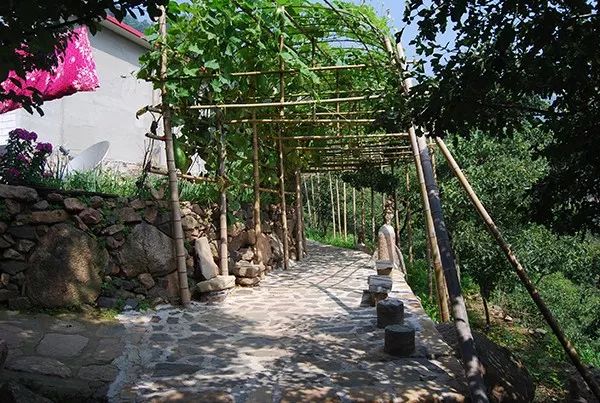 中国那些美丽到醉人的乡村,乡村旅游有哪些特色村庄