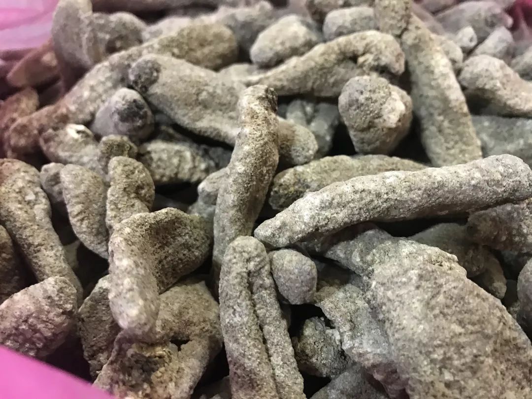 出国旅游需带日用品,义乌小商品出国必备