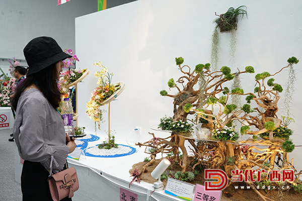 广西第十二届防城港园博园,广西防城港园林园艺博览会