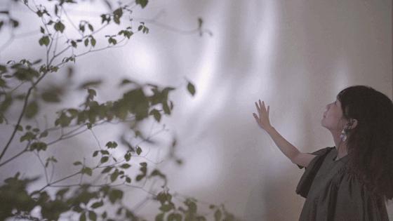 喜茶设计团队,喜茶设计公司做的酒店