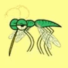 蚊子驱蚊音乐,蚊子灭蚊神曲