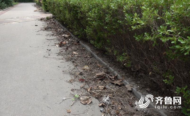 停车位费上涨,车位费上涨