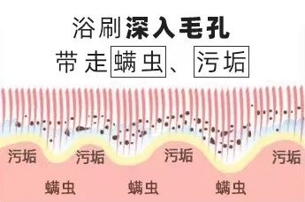 搓背再也不求人！风靡日本的弧形浴刷，轻轻一搓出污垢