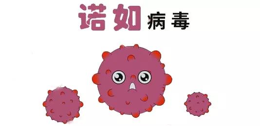 胃一直咕噜拉稀是诺如病毒吗,北京疾控提醒