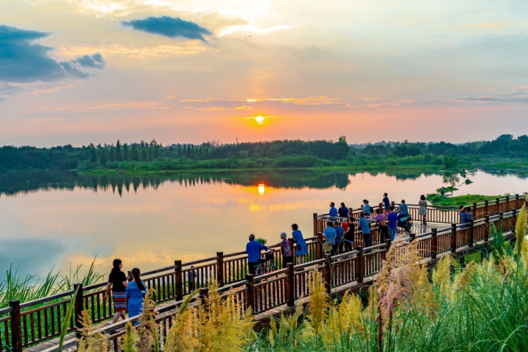 璇绘噦12鏃惰景,鍗佷簩鏃惰景鐪嬫噦浜虹敓