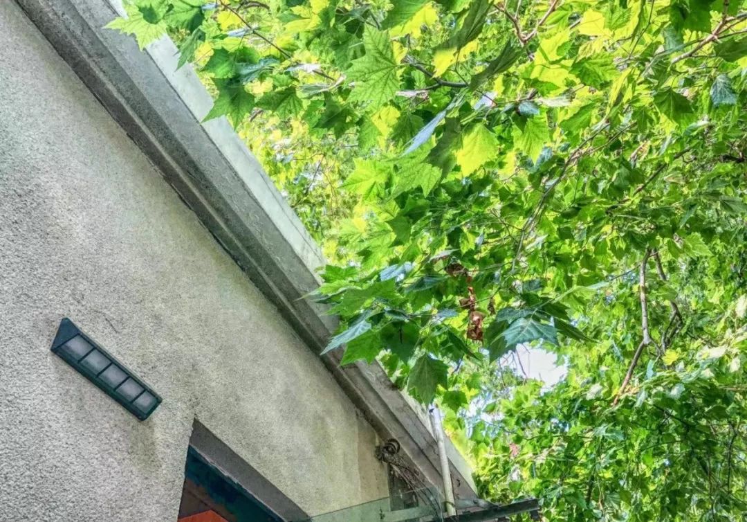 免费试住！速来撞进“青”凉时光！绝色山海之间，一家质感满分的有戏酒店，打算邀你来净化生活负能量