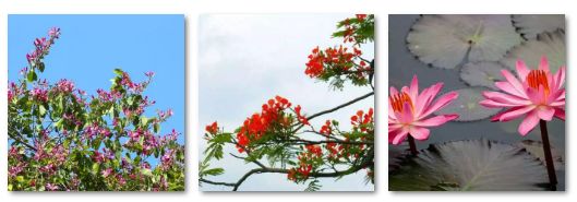 开学动感大片,开学震撼大片