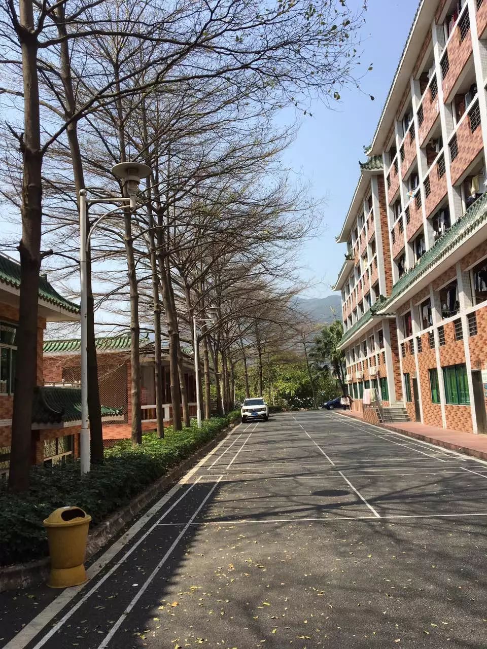 开学动感大片,开学震撼大片