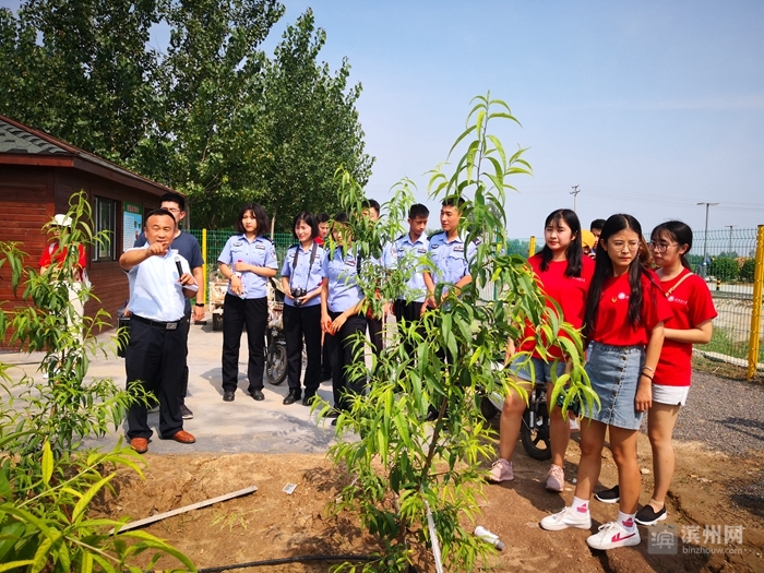 山东政法学院志愿者,山东政法学院志愿者活动