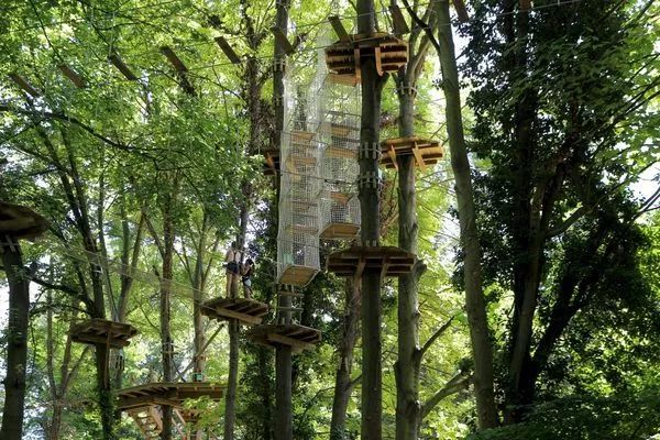 鏍戦《鎺㈤櫓鍏洯娓哥帺,鏍戦《鎺㈤櫓鍏洯娓哥帺鏀荤暐