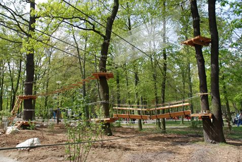 鏍戦《鎺㈤櫓鍏洯娓哥帺,鏍戦《鎺㈤櫓鍏洯娓哥帺鏀荤暐