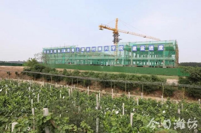 潍坊安丘乡村振兴,乡村振兴十大项目推荐