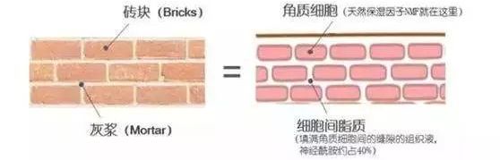 这些护肤的概念骗了你多久,护肤界的十大谎言