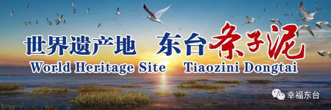 恶犬伤人民警处置,郯城疯牛出没民警果断处置