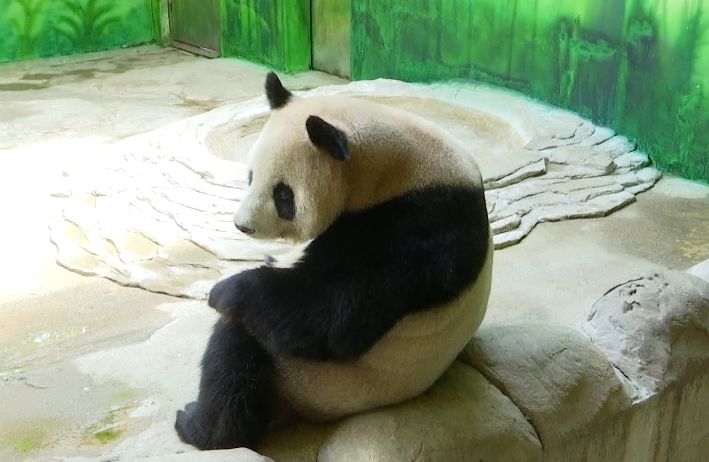 娴锋磱鍔ㄧ墿閬挎殤绂忓埄,鍔ㄧ墿閬挎殤楂樻俯绂忓埄