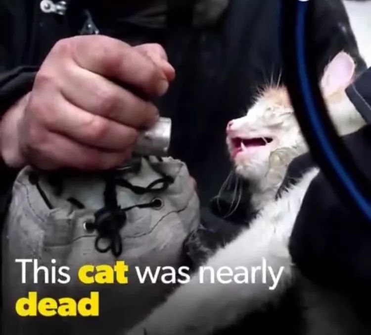 消防员才是人们心目中真正的超人,万能的消防员比什么都有安全感