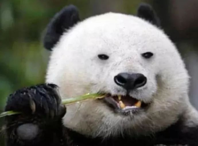 我发现了钢铁直男出轨的细节，结果...太优秀了哈哈哈哈哈哈哈哈哈哈