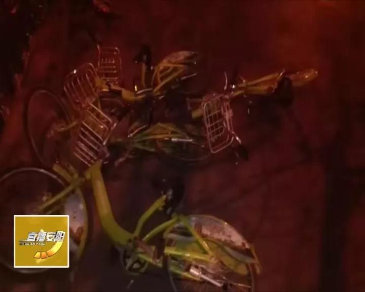 小绿车被偷了,安阳小绿车事件