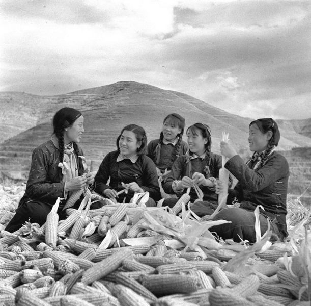 民国军阀姨太太为何多出自江南,民国哪个军阀对姨太太最坏