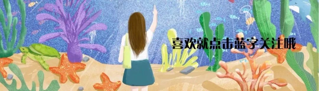 宝宝辅食坚果研磨器,婴幼儿乳牙清洁神器有用吗