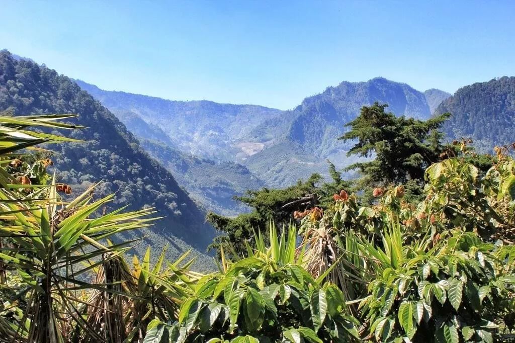 中度烘焙拼配咖啡豆推荐,咖啡拼配和soe的区别