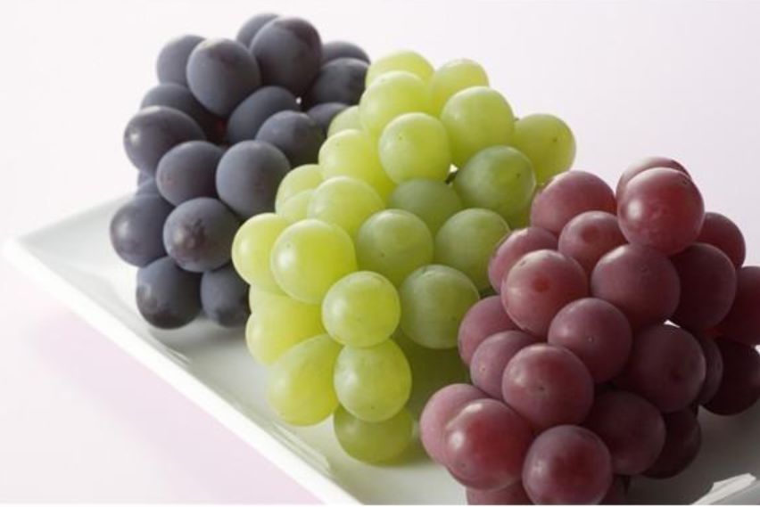 金色葡萄球菌感染会死吗,金色葡萄球菌感染有危险吗