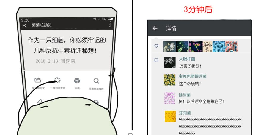 金色葡萄球菌感染会死吗,金色葡萄球菌感染有危险吗