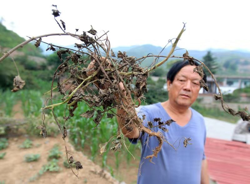 天蓬元帅别惹农夫怎么解锁,天蓬元帅下界被欺负