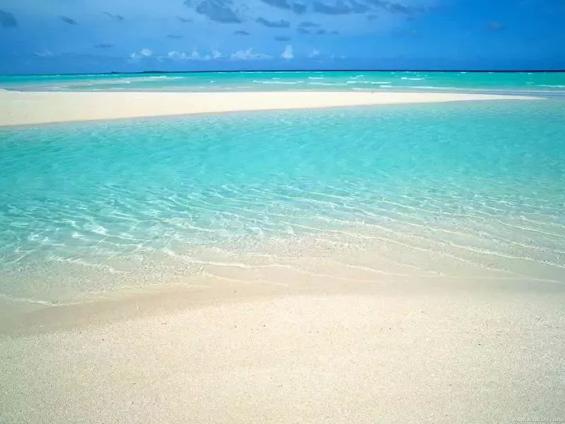 我们如何保护海洋生态环境视频,海洋环保理念