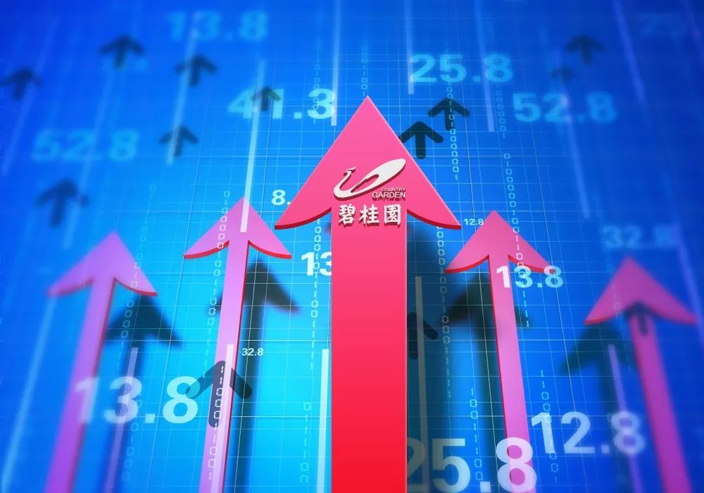 碧桂园：黑马真相