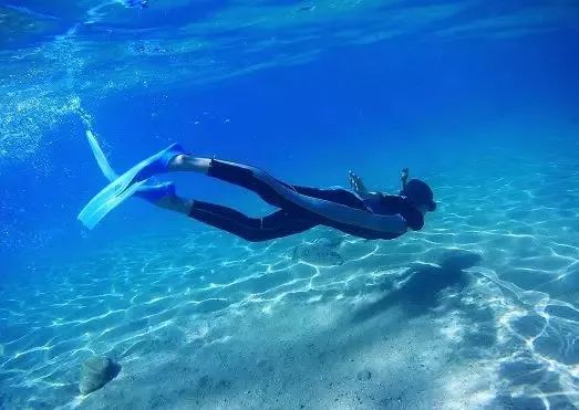 我们如何保护海洋生态环境视频,海洋环保理念