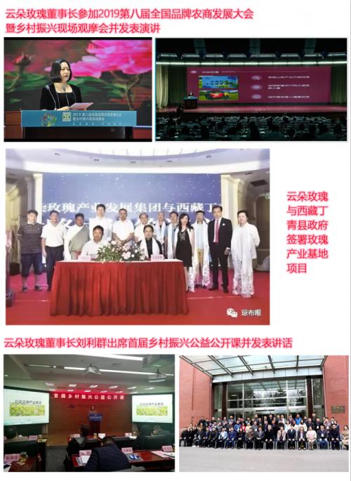 云朵玫瑰值得投资吗,云朵玫瑰代理