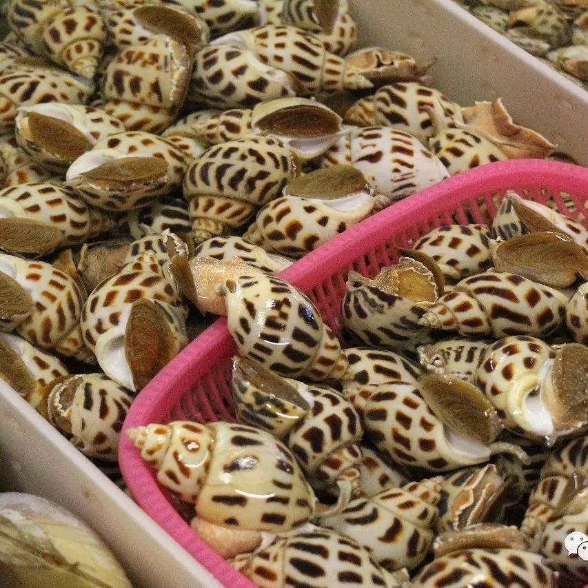 湛江有没有好景点,湛江有没有什么景点